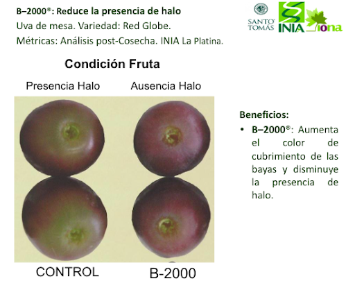 Comparativa Fotográfica B-2000